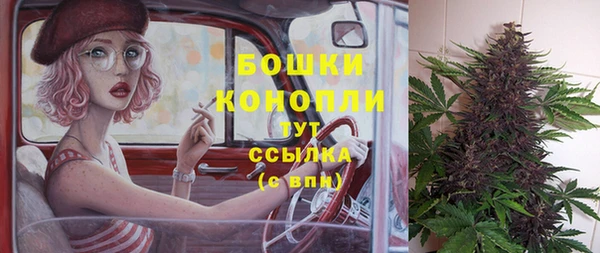 PSILOCYBIN Новодвинск